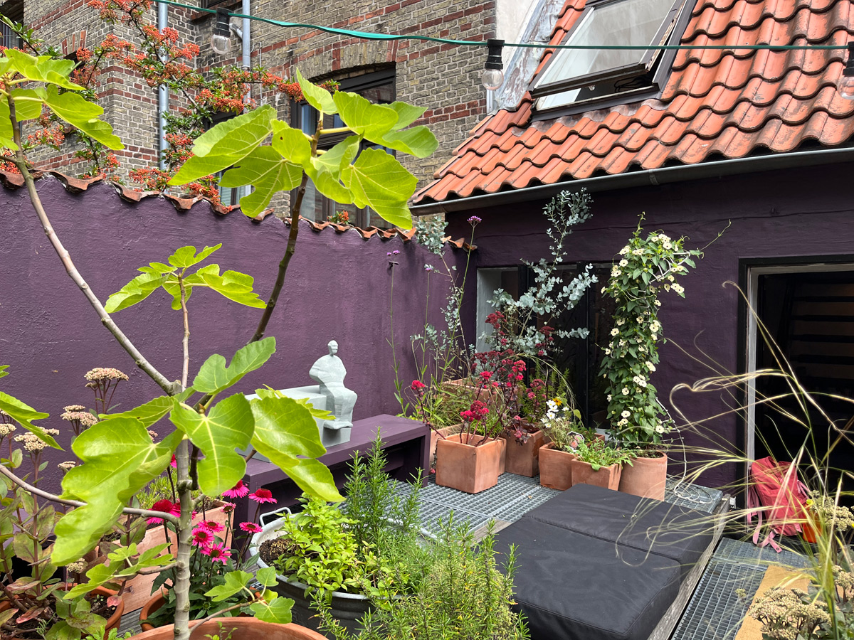 Marlene Hoop – Dachterasse Galerie Kruse