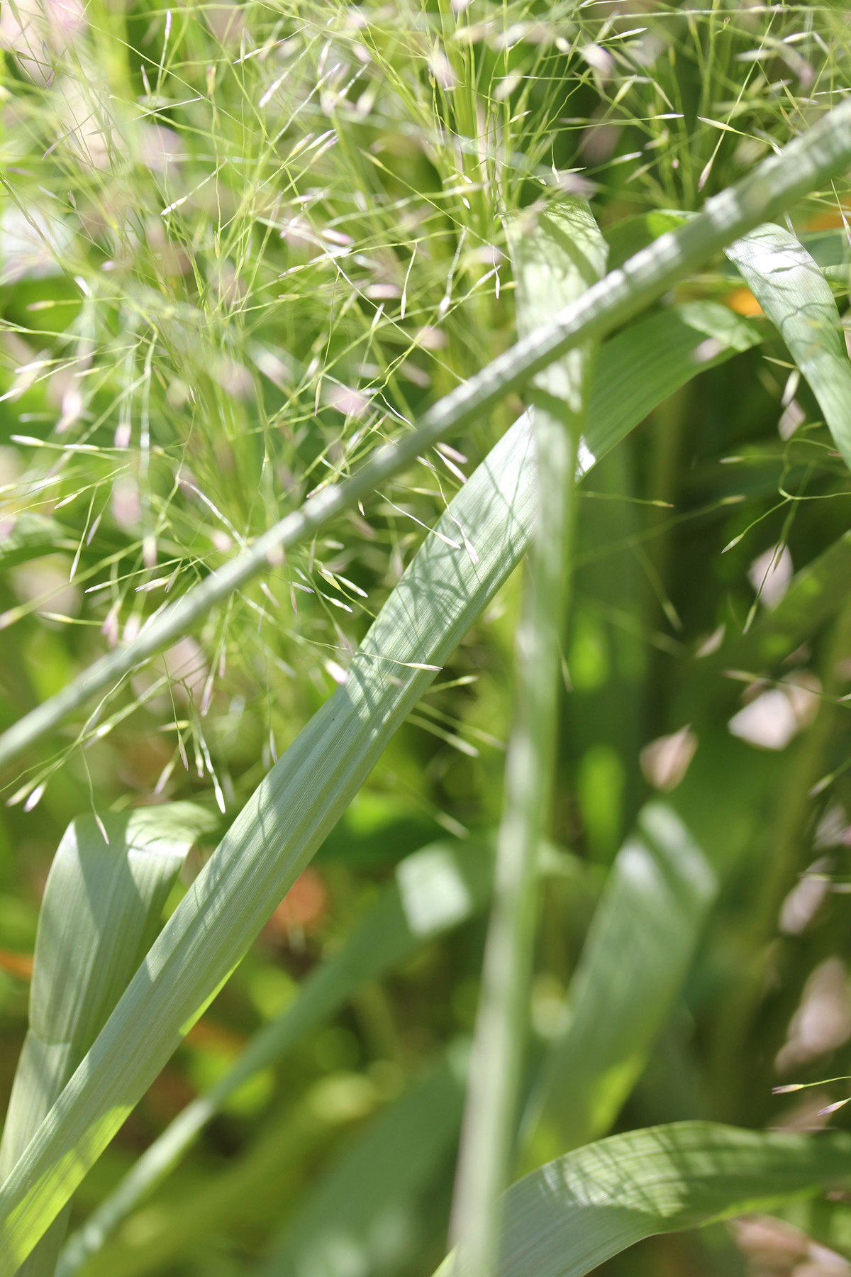Marlene Hoop – Fotodruck auf festem Papier